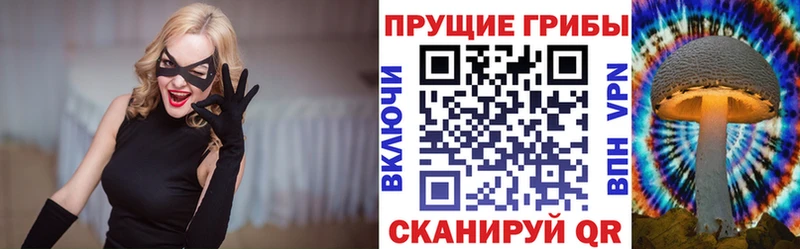 Псилоцибиновые грибы Psilocybe  Купить закладки  Озёрск 